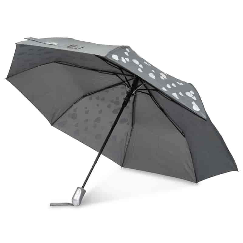 umbrella photography